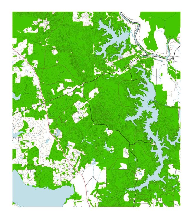 Projection and grids excluded from the rendering